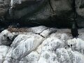 DSC03413