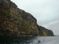 DSC03446