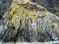DSC03450