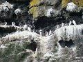 DSC03453