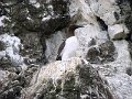 DSC03454