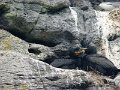 DSC03462