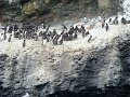 DSC03468