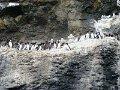 DSC03469