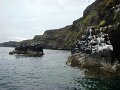 DSC03474