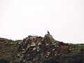 DSC03478