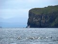 DSC03507