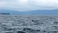 DSC03512b