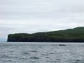 DSC03523b