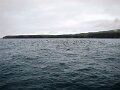 DSC03526