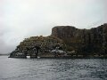 DSC03531
