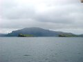 DSC03534