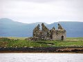 DSC03541