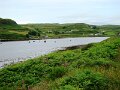 DSC03640