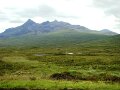 DSC03680