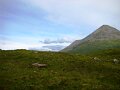 DSC03682