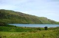 DSC03685