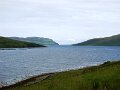 DSC03733