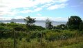 DSC03770