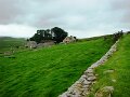 DSC05955