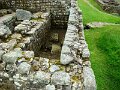 DSC05961