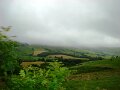 DSC05989