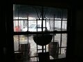 DSC06305