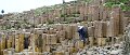 AC15