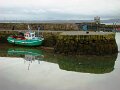 DSC06365