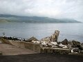 DSC06415