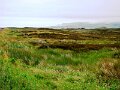 DSC06500