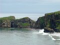DSC06530
