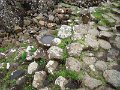 DSC06539