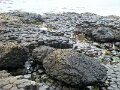 DSC06550