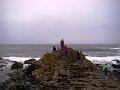 DSC06554