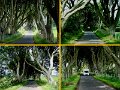 DarkHedges