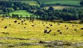 DSC06680b