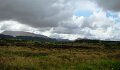 DSC06991