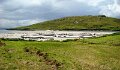 DSC07402