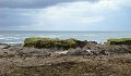 DSC07407