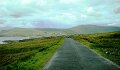 DSC07449