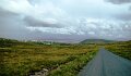 DSC07456