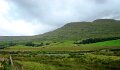 DSC07515