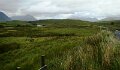 DSC07518