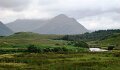 DSC07520