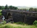 DSC07530