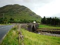 DSC07534