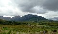 DSC07572