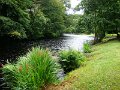 DSC07590
