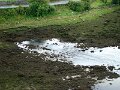 DSC07635